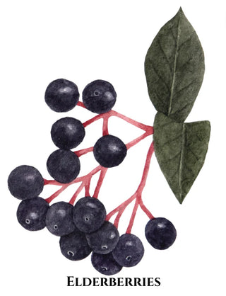 Rituel 2 étapes | Nettoyant 4-en-1 + crème-sérum 4-en-1