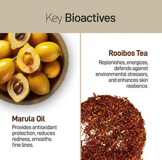 Crème hydratante pour le visage